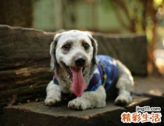 好听的超个性快手昵称