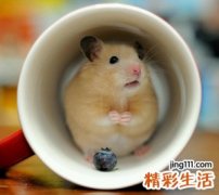 男生听风说你的感性抖音昵称