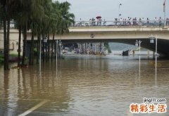 梦见河水突然上涨很多鱼跳上岸