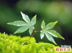 忧伤锁爱的微信昵称带符号