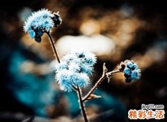 2021追忆似水流年有些伤感的微信网名