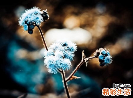 2021追忆似水流年有些伤感的微信网名