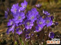 2021人去楼空想要放手的感情网名