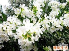 让怀念缄默沉静的青春网名有些怀旧