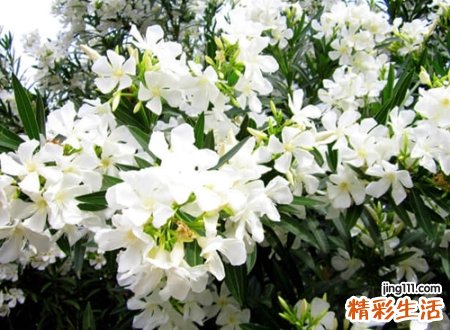 让怀念缄默沉静的青春网名有些怀旧