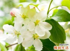 心情不好淡淡滋味的微信网名