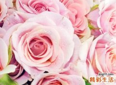 寂寞心安的古风文艺昵称
