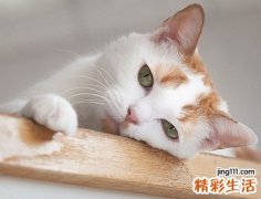 六个字的微信个性昵称