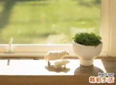 舒适大气不容错过的快手昵称，容易吸粉涨粉的热门网名