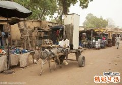 梦见赶着毛驴车去赶集