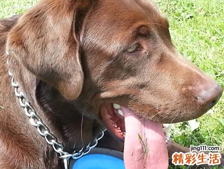 梦见和别人吵架突然一瞬间舌头掉了