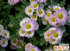 低调稳重平凡的微信昵称，质朴好听的内敛网名