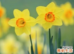 感悟生活的经典长网名