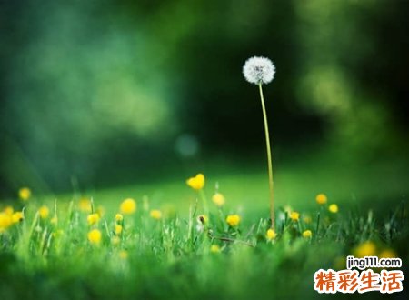 好听有意境的qq个性网名