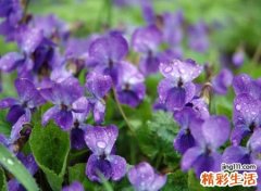 好听有凝聚力的qq讨论组名字