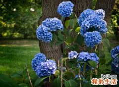 好听不用质疑的经典qq网名
