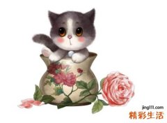 好听小温顺的qq网名