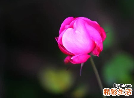 qq空间好听的相册名称，唯美有吸引力的qq空间相册名称