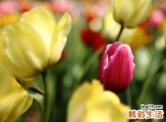 好听有创意的群名称，霸气群头衔名称大全
