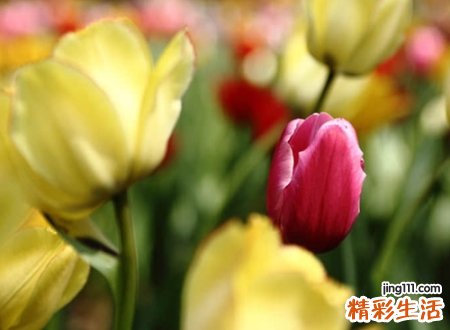 好听有创意的群名称，霸气群头衔名称大全