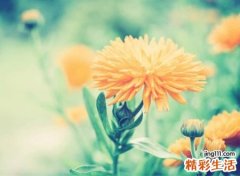 简短好听的群名字，有文化有内涵的qq群名称