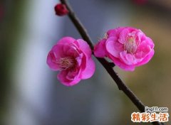 搞笑逗乐的qq群名字，霸气又逗比的幽默群名称
