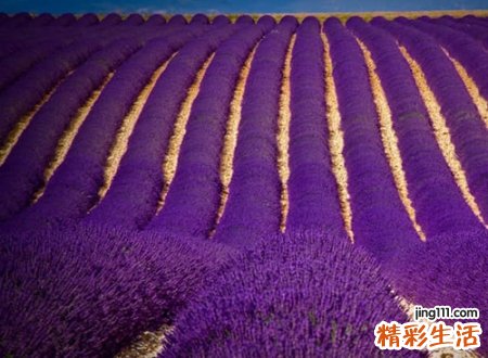 好听稳重成熟的简短网名，简单又含深意的微信昵称