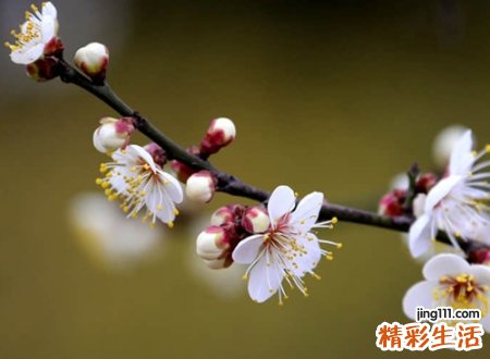 超好听最吸引人的扣扣名字，最好听的qq名字大全