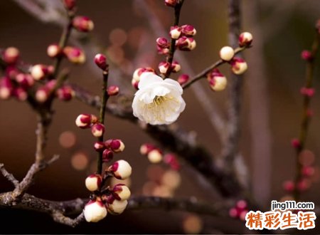 比较长很长的好听昵称，经典有范的个性网名