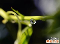 好听让人注目的微信名字