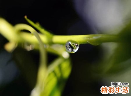 好听让人注目的微信名字