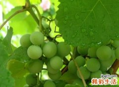 吸引人的精短抖音名字