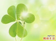 2021抖音最火的涨粉网名