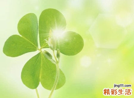 2021抖音最火的涨粉网名