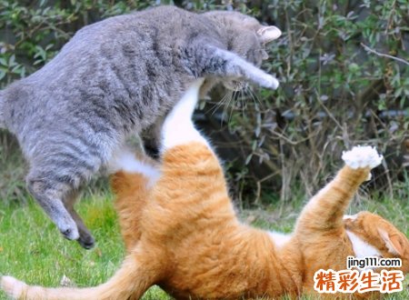 2021幽默超搞笑的逗比网名