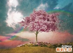 好听涨粉的抖音名称