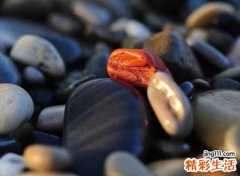 好听的潮流时尚网名