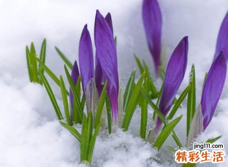 两个字的简单抖音昵称
