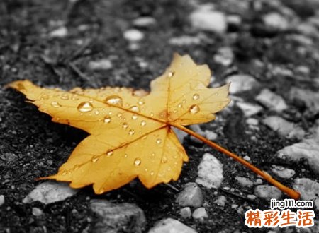 不一般的高冷微信名字