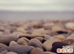 好听的直播间名字