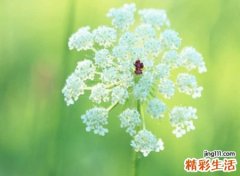 时尚简约的抖音网名