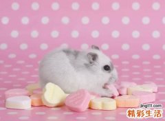 2021懵逼逗趣的幽默网名