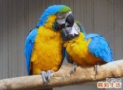 搞笑的姐妹群名称大全