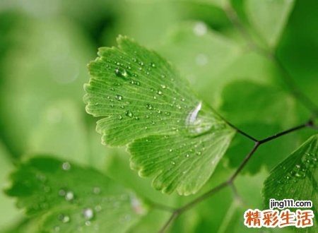 好看简单的个性昵称设计，森系网名简单气质有深意