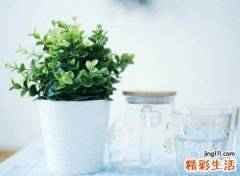 清新淡雅脱俗的微信昵称，安静闲适的个性网名大全