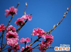 激励自己奋斗的励志昵称，哲理网名路对了走再远也值