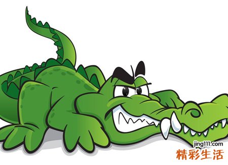 梦见鳄鱼浮出水面想要咬人