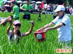 梦见自己在游泳时在水里抓到活鱼
