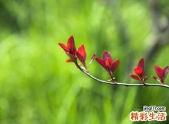 经典流行最火爆的抖音昵称，温情网名和你浪漫风雨中