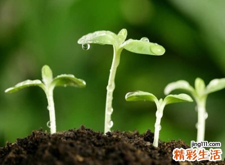 致青春最火的微信名字，关于青春的霸气网名